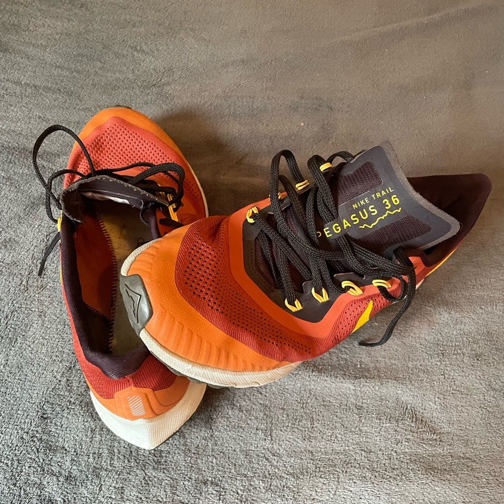 Nike Trail Pegasus 36